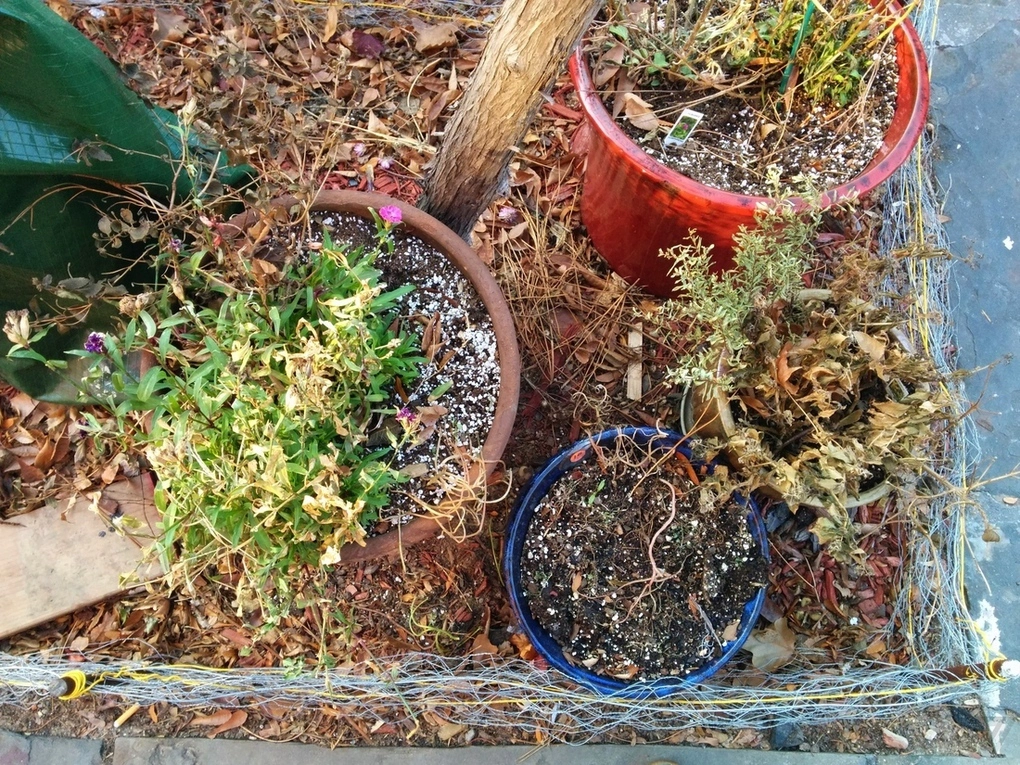 Foto de Mejora de la cámara del Nexus 5 con Android 4.4.1 (7/15)