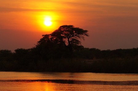 Nuestra salida (y regreso) de África: una cuestión de temperatura y comida andante
