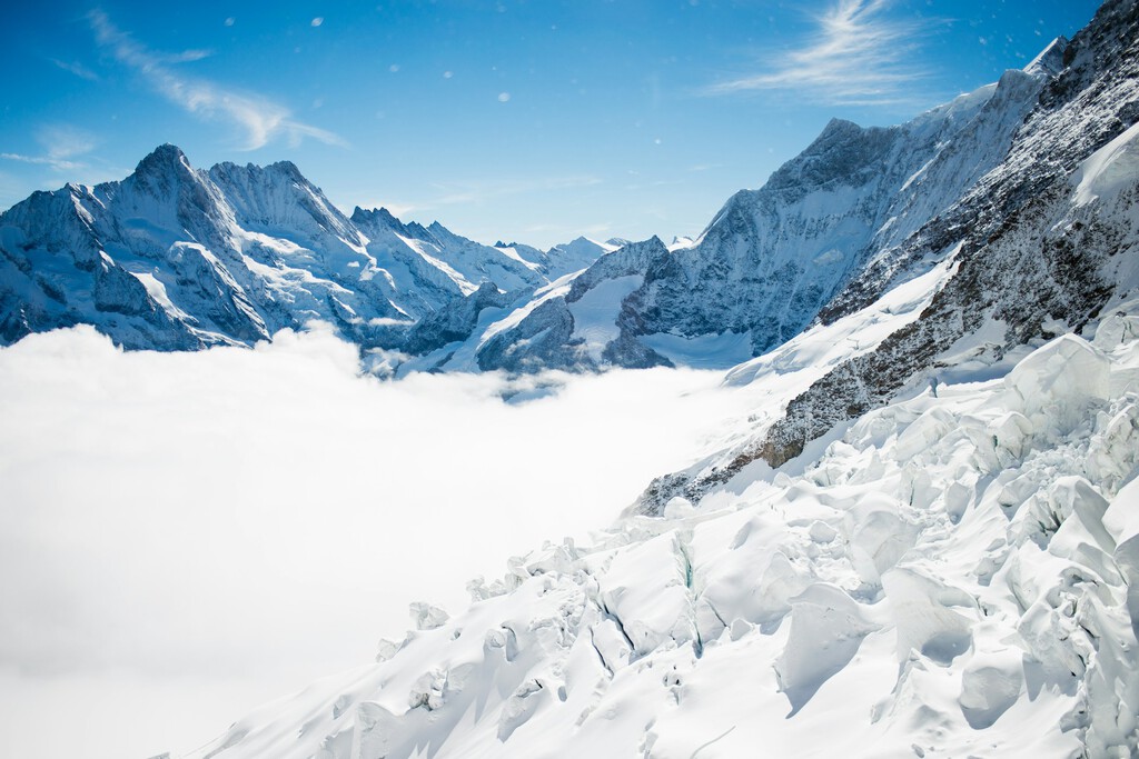 El dramático retroceso de un glaciar en el Ártico acaba de reveló un espectacular "cementerio" de ballenas prehistóricas