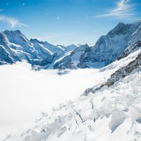 Conforme el hielo desaparecer del Ártico emergen cosas alucinantes: como un cementerio de ballenas prehistóricas