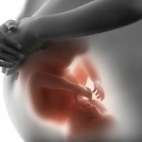 Fórmula para calcular el peso del bebé en el embarazo