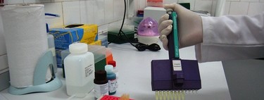 Es más fácil encontrar trabajadores cualificados en España que en Alemania