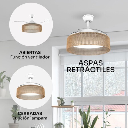 Ventilador de techo