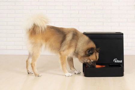 Así funciona la Thermomix para perros si quieres que tu mascota tenga comida natural y saludable