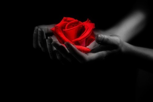 El arte de tratar a los clientes que aterrizan en tu página web