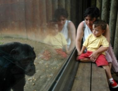 Entrevista sobre el sueño infantil: radio familialibre
