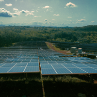 De la rentabilidad del pistacho a los kilovatios del sol: así calculan hoy los agricultores españoles