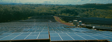De la rentabilidad del pistacho a los kilovatios del sol: así calculan hoy los agricultores españoles