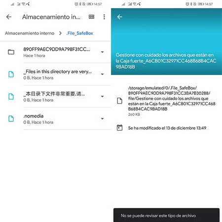 ファイルエクスプローラーでフォルダー自体は表示されますが、中身は表示されません
