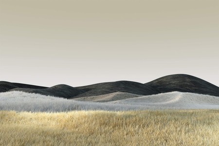 Surface