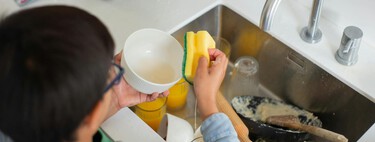 Não jogue fora os suas esponjas velhas: elas são um verdadeiro tesouro para cuidar das suas plantas