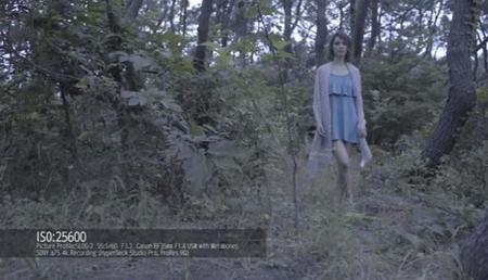 Una prueba más de la brutal sensibilidad de la A7S de Sony: puede sobreexponer incluso de noche