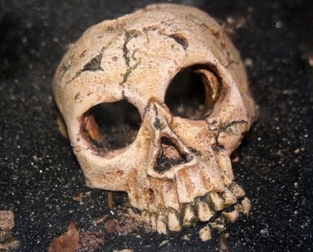 Según una nueva teoría el rostro humano evolucionó para adaptarse a los puñetazos