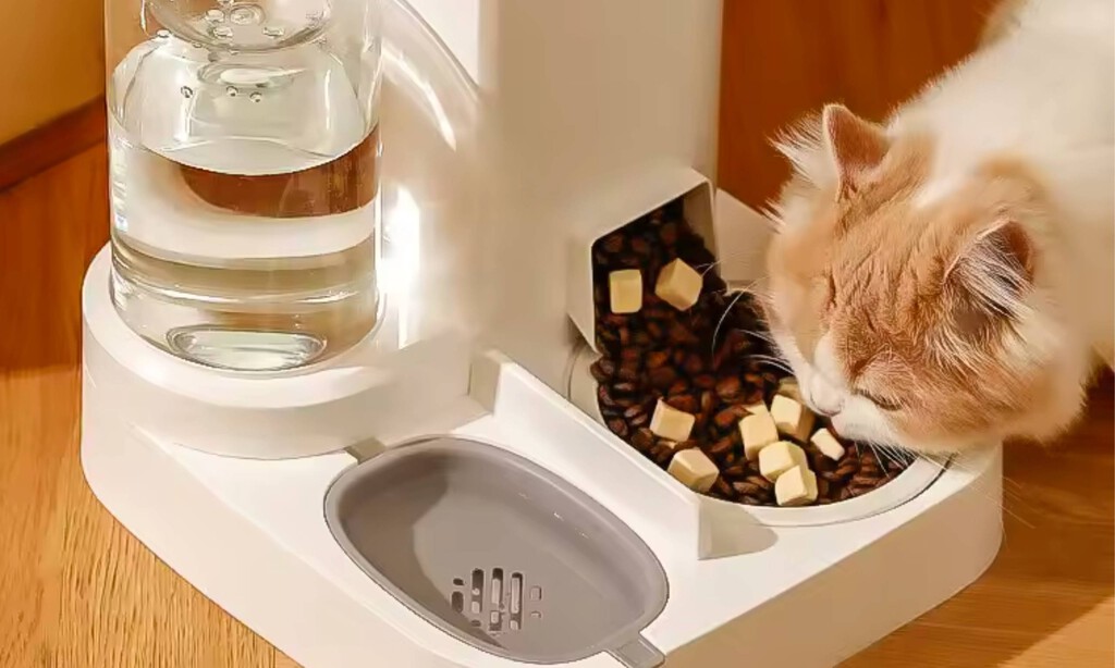 Este es el gadget que necesitas para irte de casa tranquilo y alimentar a tus mascotas. Está a precio de locura durante unas horas