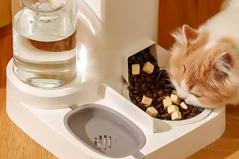 comedero automático para mascotas