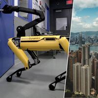 Hong Kong enfrenta uma enorme crise de saúde pública devido ao vírus chikungunya; o remédio é um exército de cães-robôs 