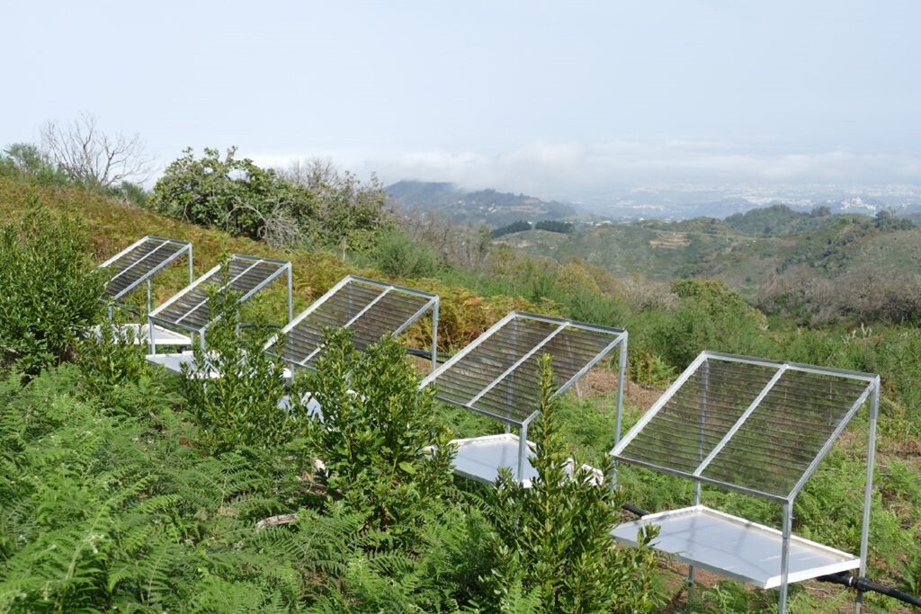 Este es el revolucionario invento español para extraer agua de la niebla y que cualquiera puede montar en casa