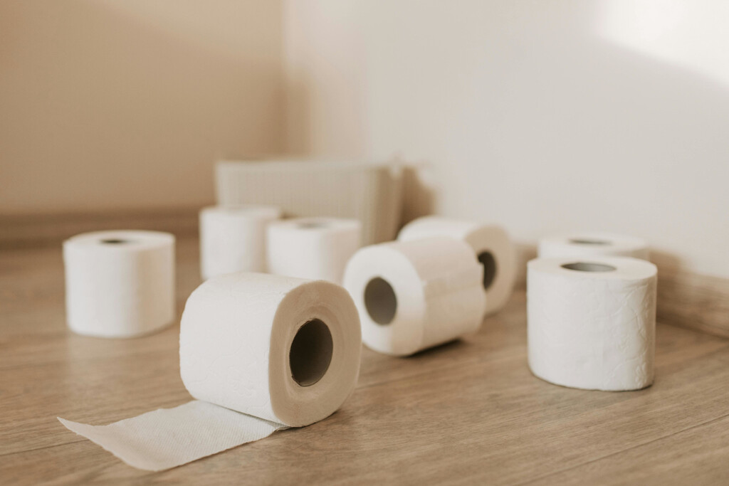 Transforma tus rollos vacíos de papel higiénico en un organizador útil y original