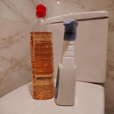 Desde que uso vinagre para limpiar el inodoro, mi cuarto de baño está más limpio que nunca sin usar productos químicos 