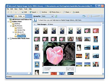 Digital Image Suite 2006, Microsoft se apunta al soporte fotográfico profesional