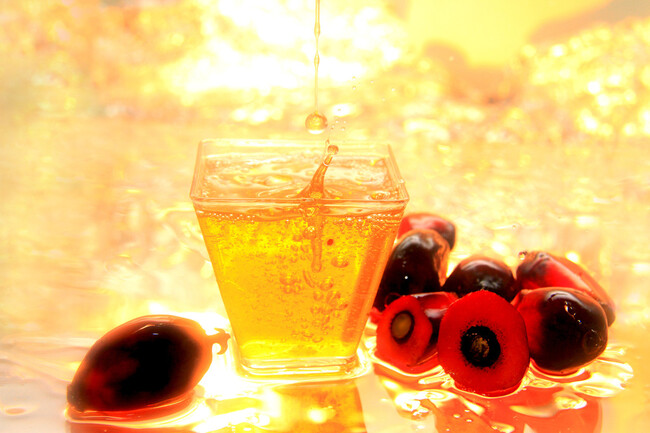 aceite de palma