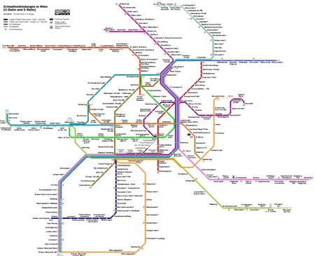 El crecimiento de las plantas se parece a la arquitectura de las líneas del metro