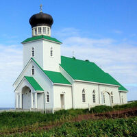 Una isla de Alaska ha llenado el lugar de trampas con mantequilla de cacahuete tras entrar en alerta máxima. Están buscando una rata