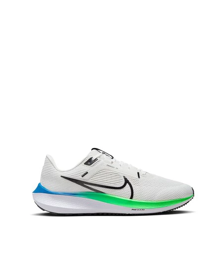 Nike pegasus