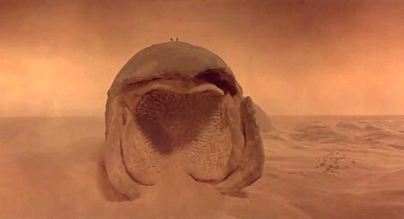 Dune Gusano De Arena