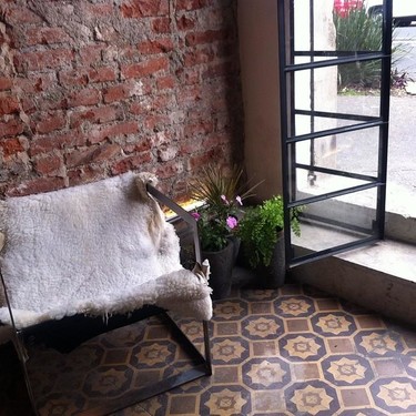 Only the young die young, diseño independiente y responsable en ciudad de México