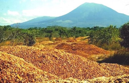 Cascaras