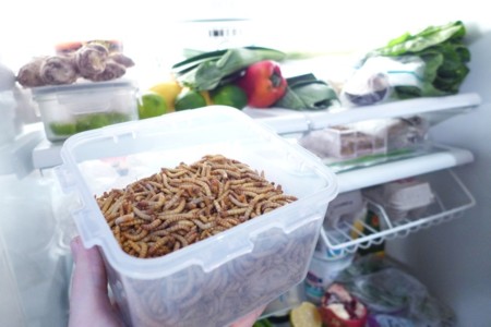 29fb2bd8e0be4bea4ccbba4a7bca798d Original