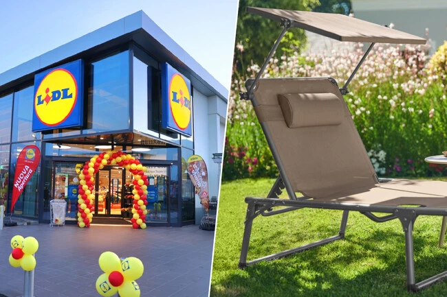 Tienda Lidl Con Tumbona