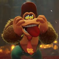 Bill van Zylll, vicepresidente de Nintendo en Latinoamérica: "No hay planes para abandonar las ediciones físicas" 