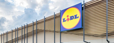 Lidl vende (por menos de 20 euros) el cepillo eléctrico de limpieza ideal para cualquier rincón de tu hogar 