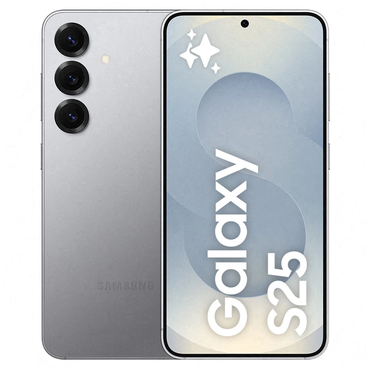 Galaxy S25 (12 + 256 GB)