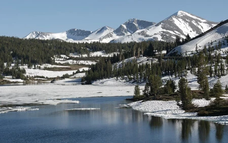 mammoth california mammoth california