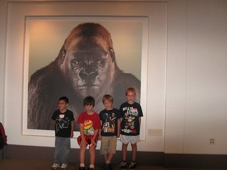 Museo niños