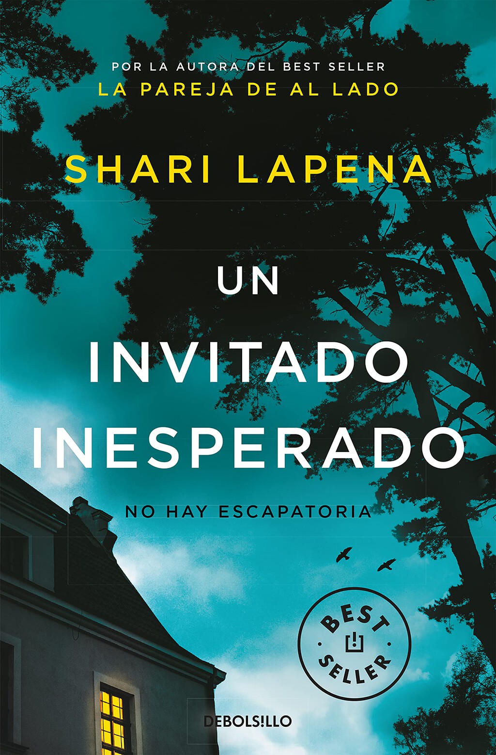 37 libros de intriga y misterio recomendados para niños y adolescentes ...
