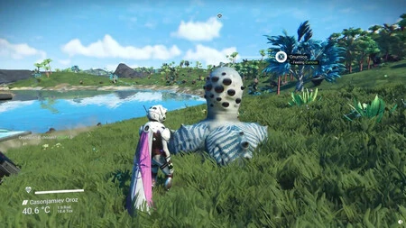 No Mans Sky Pene