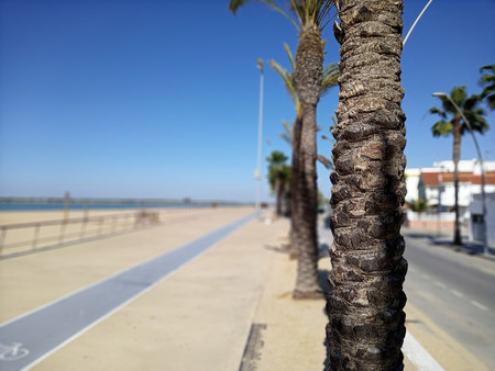 Análisis del LG Q60