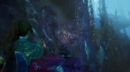 Caja Aguas Voladoras 1 1