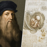 Hace 400 años, un hombre cometió el crimen de desmembrar los legendarios cuadernos de Da Vinci. Ese error acaba de ser corregido