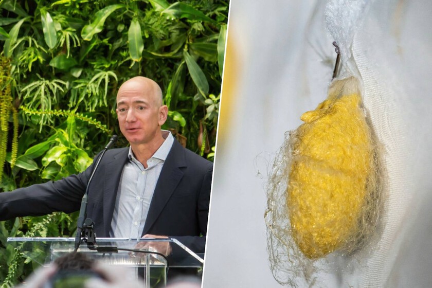 The clothes of the future are made by bacteria. Jeff Bezos just invested 34 million to prove it