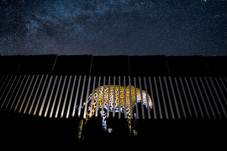 C Alejandro Prieto Wildlife Photographer Of The Year