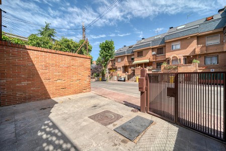 Pexels Douglas Rafael Fonseca 66737161 12870095