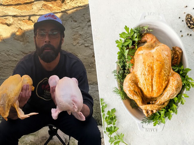 Los Pollos Amarillos No Tienen Por Que Ser Mejores
