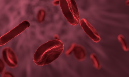 Red Blood Cells 3188223 960 720