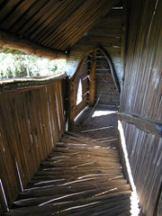 hotel baumhaus