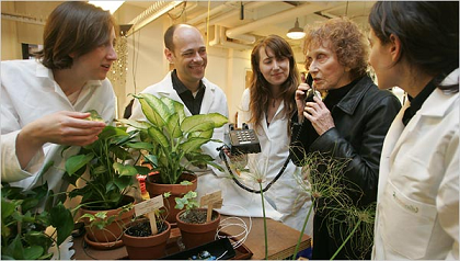 Plantas que llaman por teléfono ante la carencia de agua